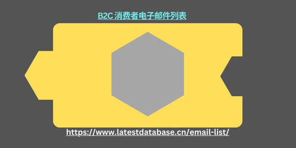 B2C 消费者电子邮件列表